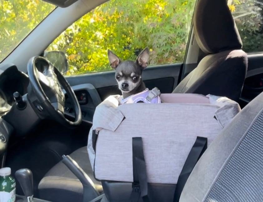 Pet Console Car Seat