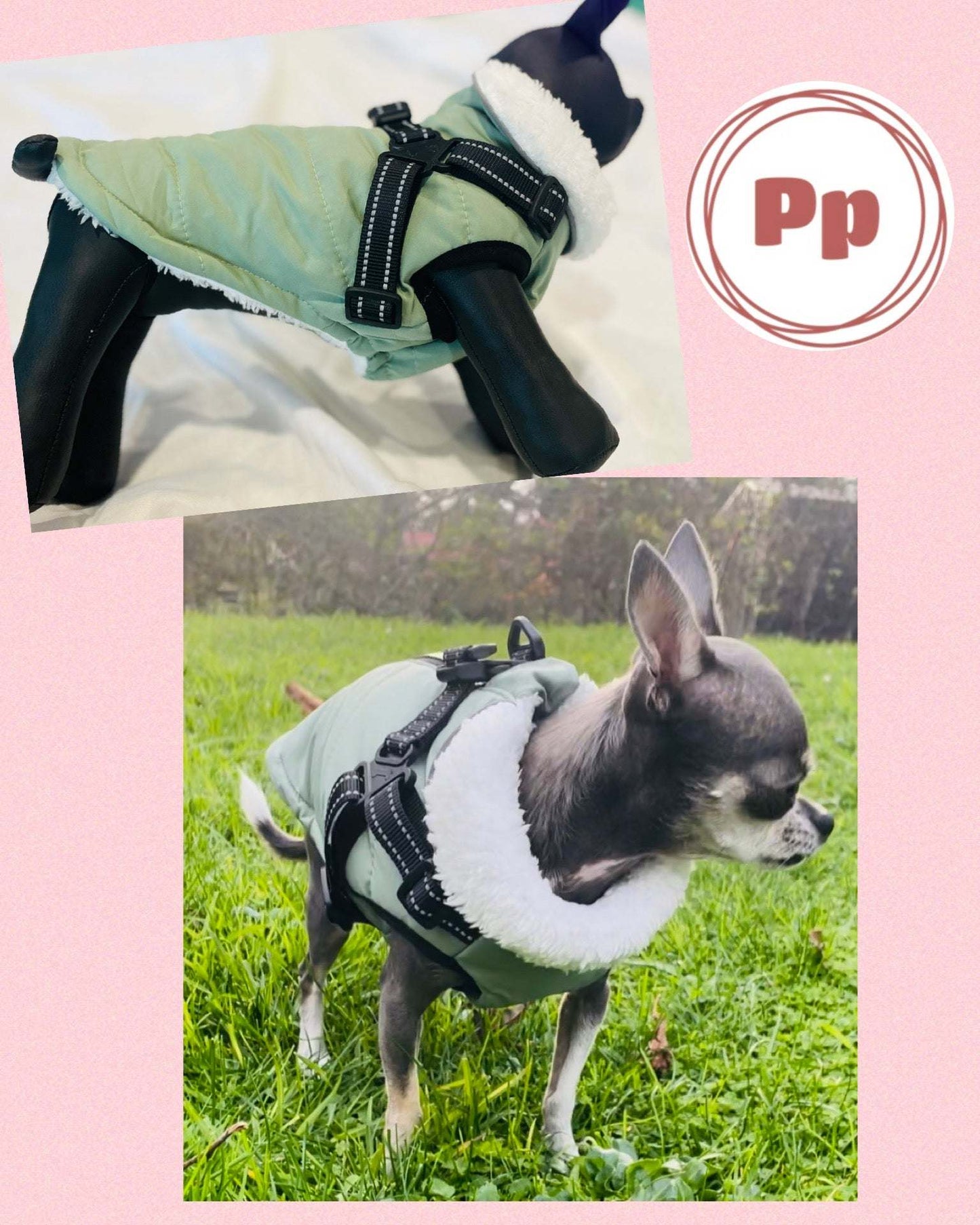 Small Dog Waterproof Winter Coat