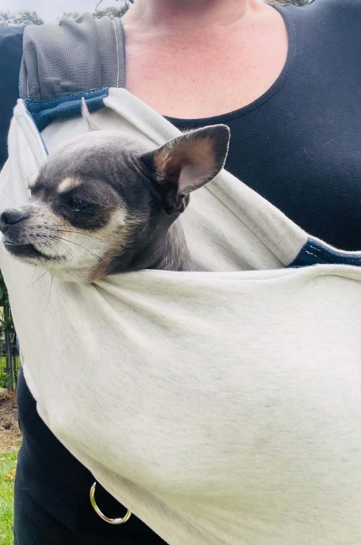 Chihuahua sling carrier Pet Sling Carrier Pocket Pooch- Ultimate Stylish Comfy Solution.