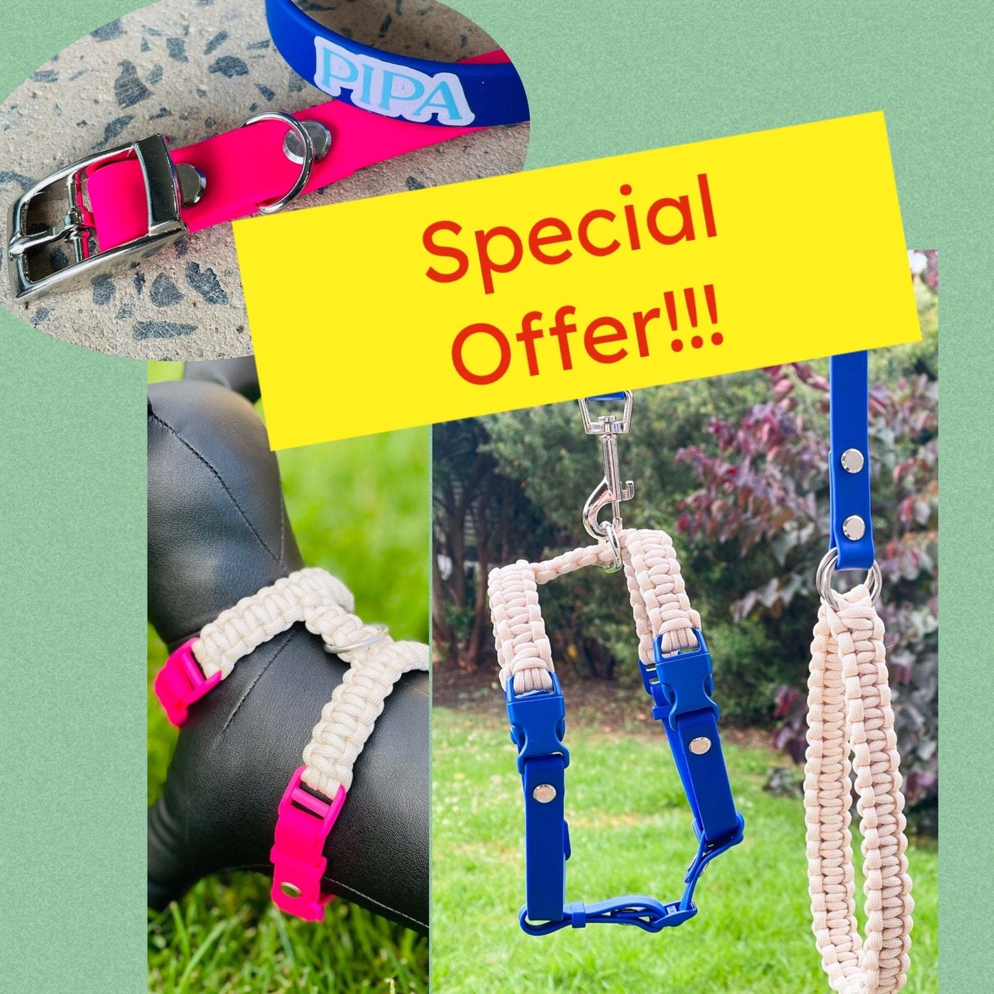 All Rounder Harness