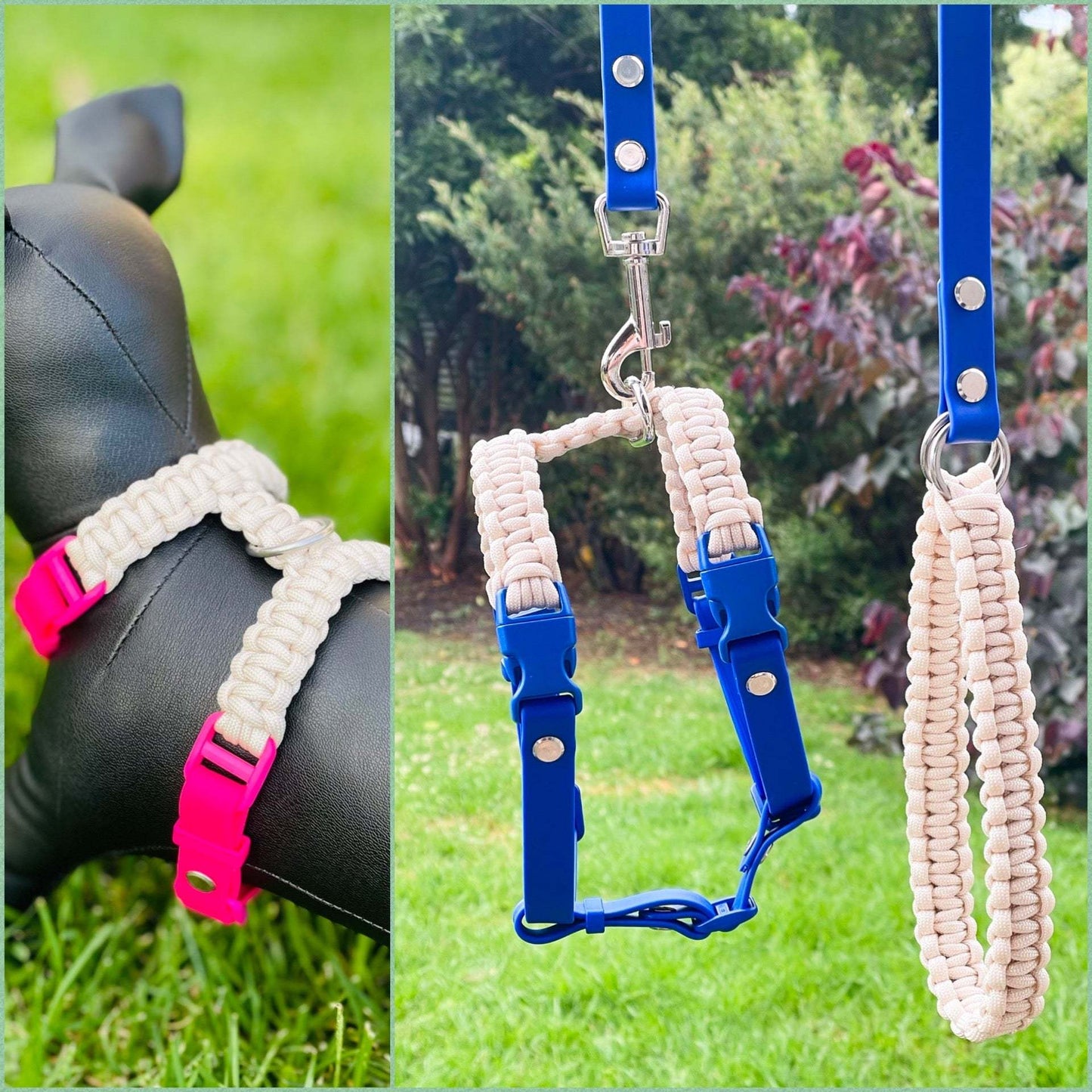 All Rounder Harness