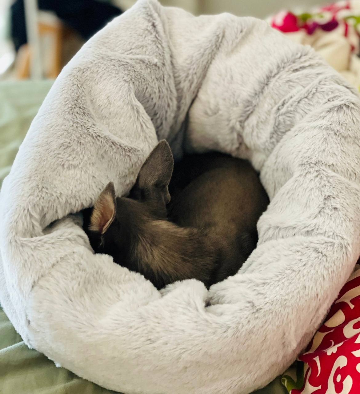 dog sleep sack