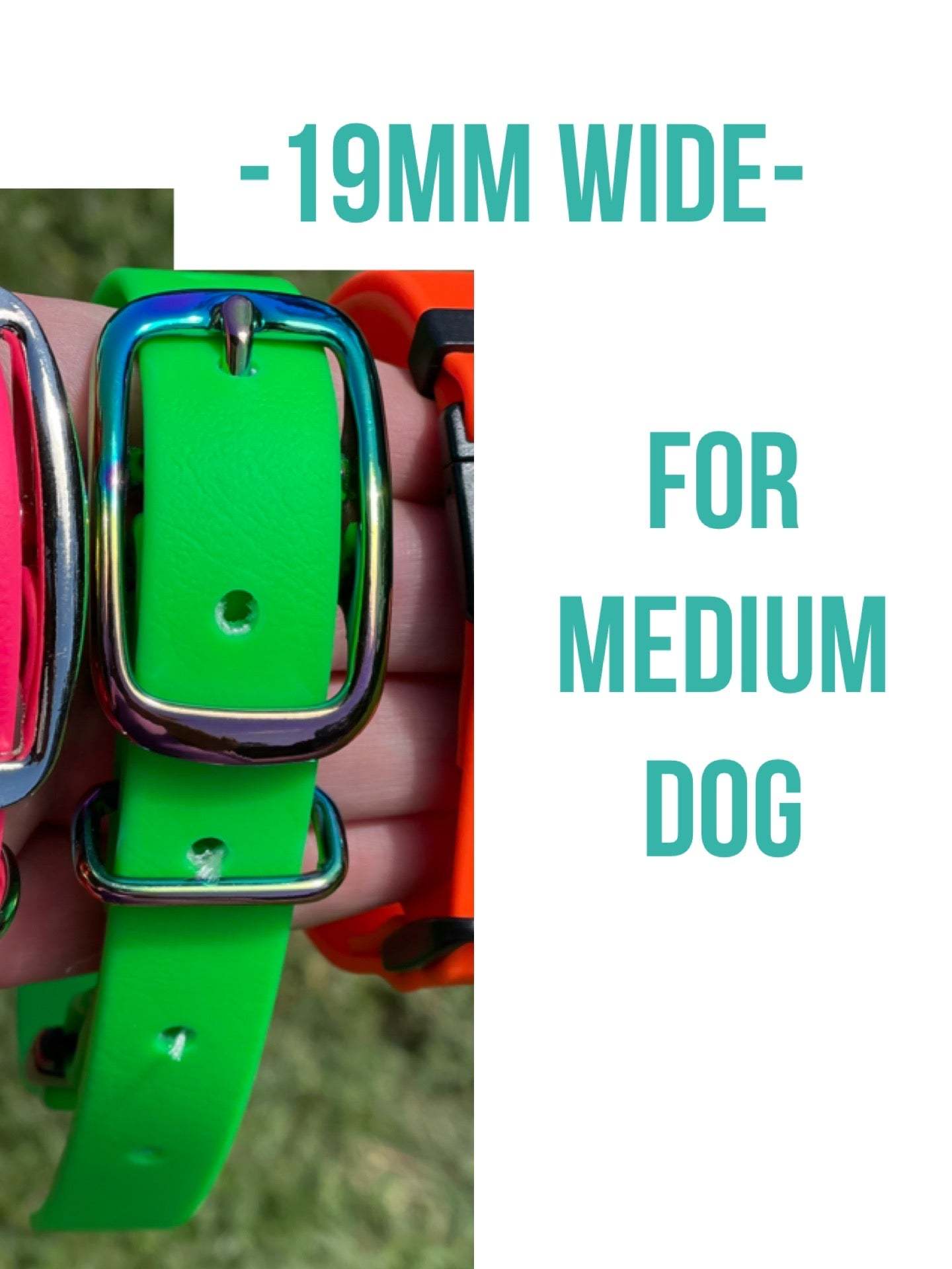 waterproof Safety Breakaway ID Collar