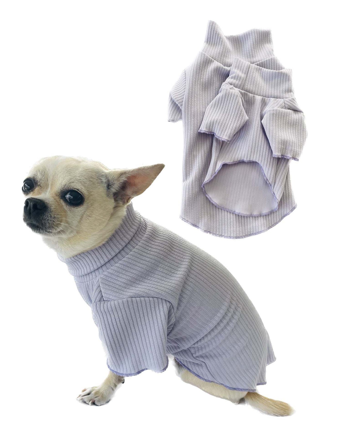 Small dog wearing a thin, ribbed autumn sweater designed for comfortable layering underneath coats