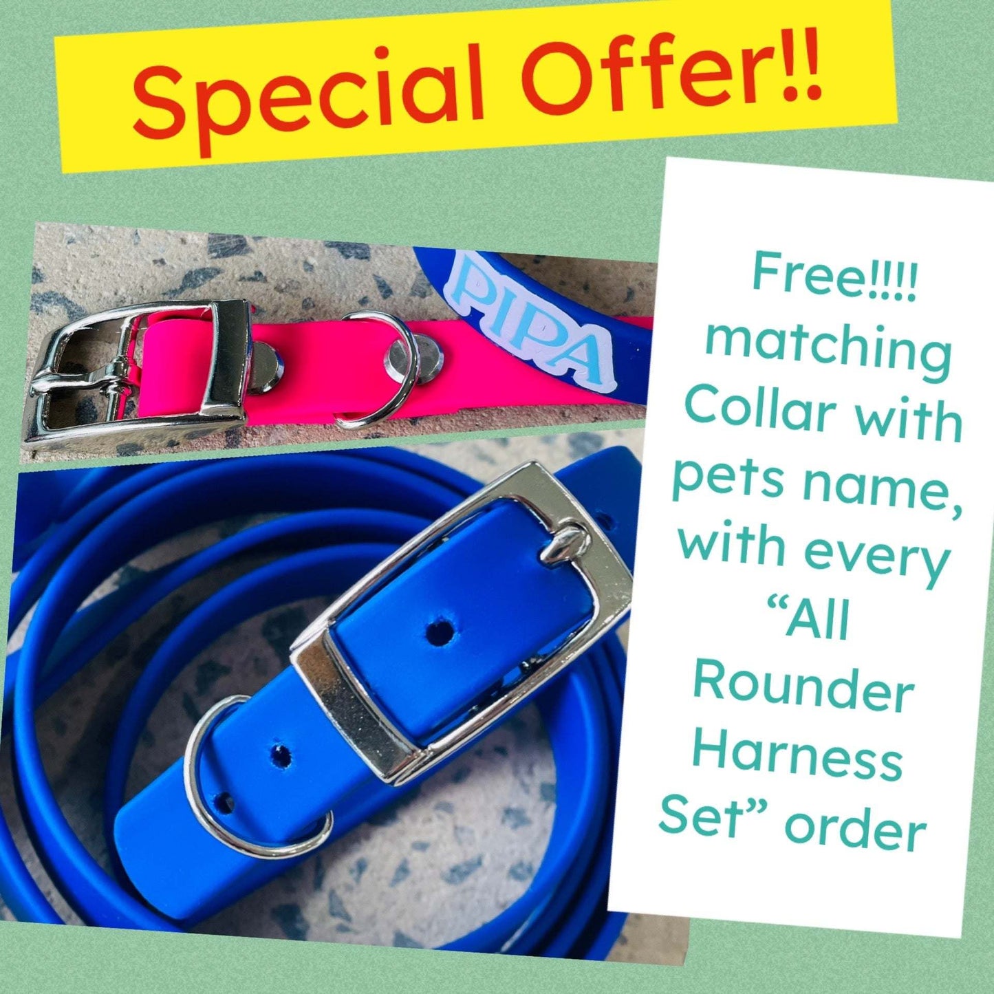 All Rounder Harness