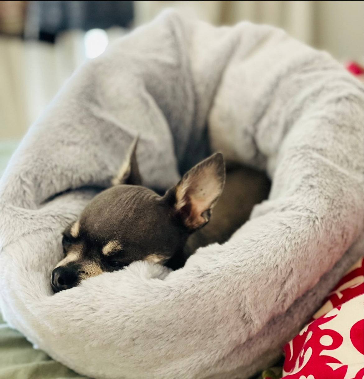dog sleep sack