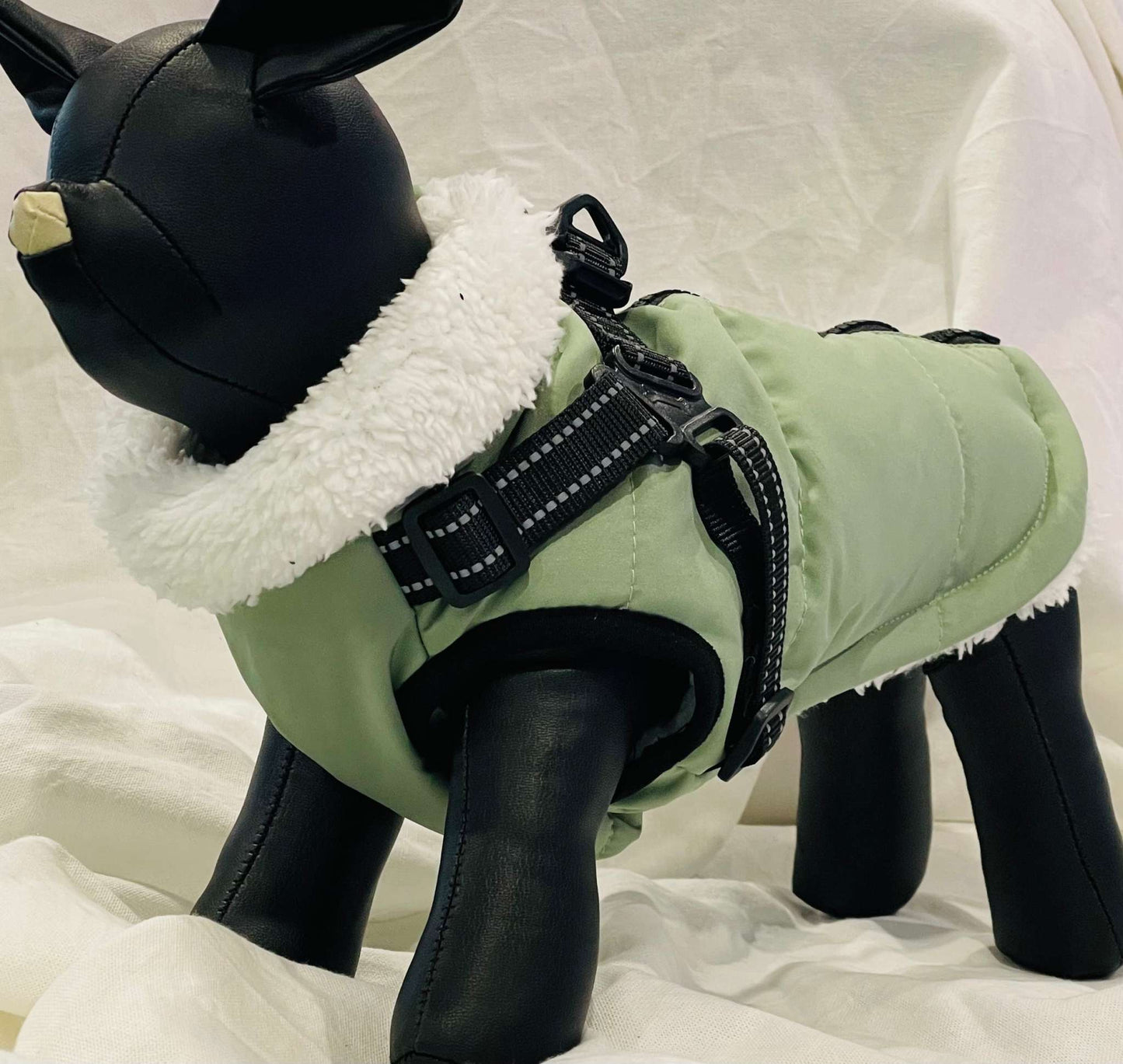 Small dog wearing a green waterproof winter coat with fleece lining and reflective harness.