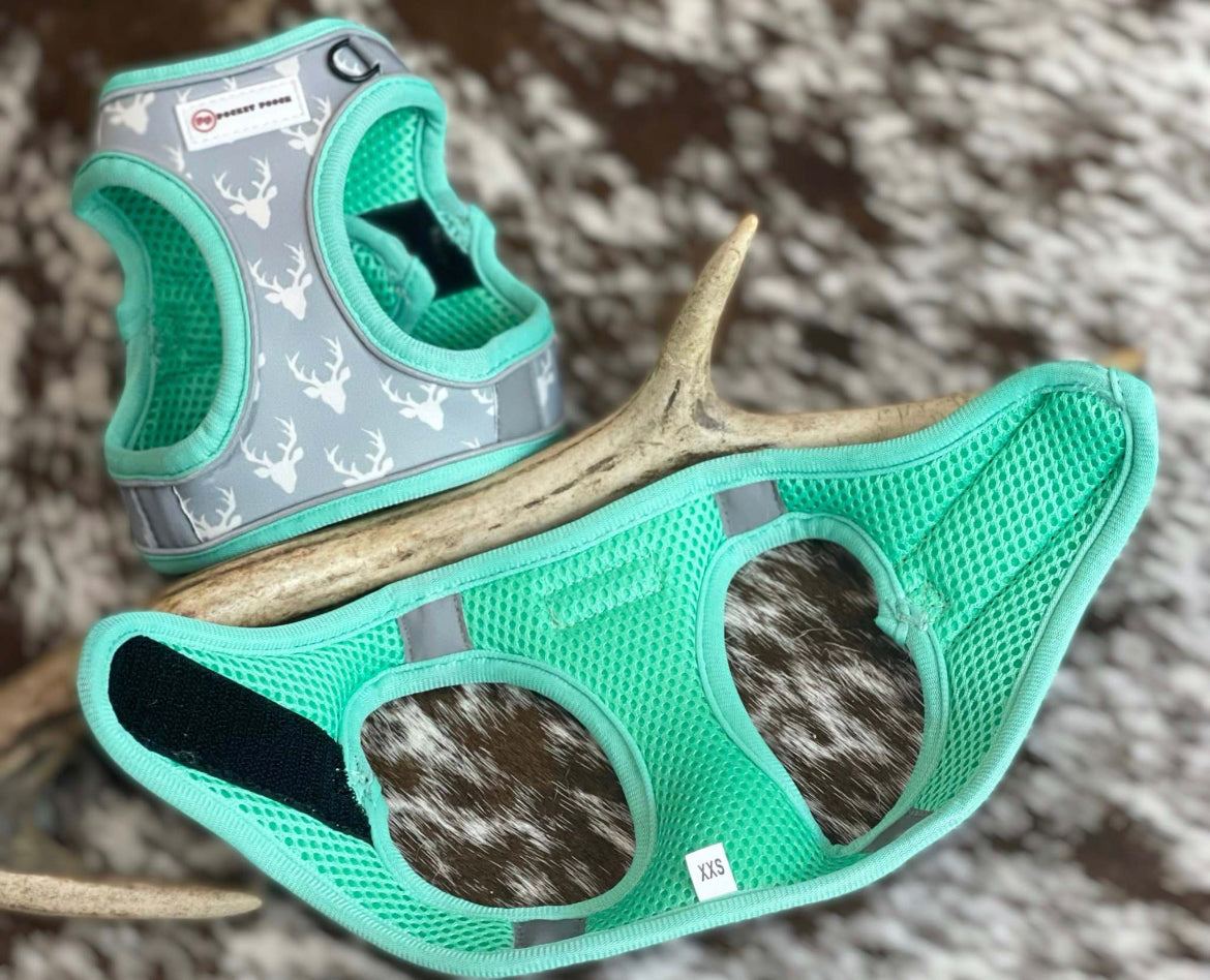 Designer small dog harness set