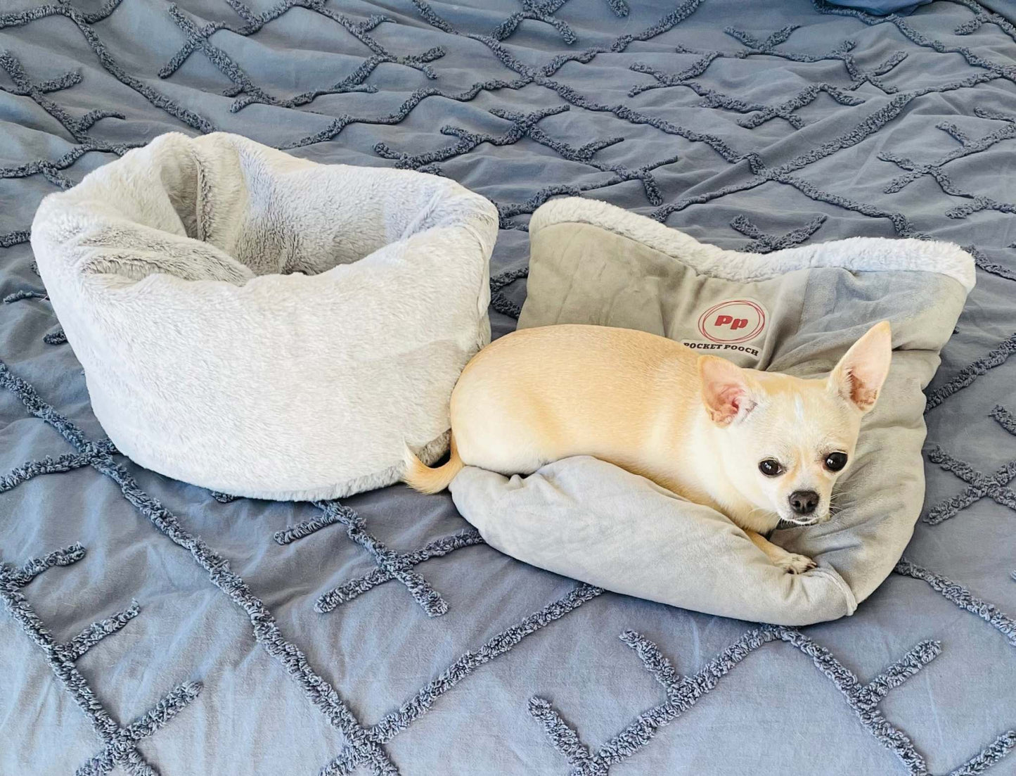 dog sleep sack