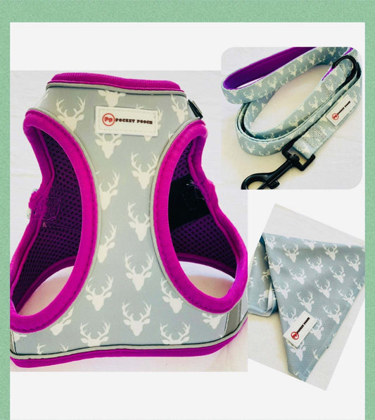 Designer small dog harness set