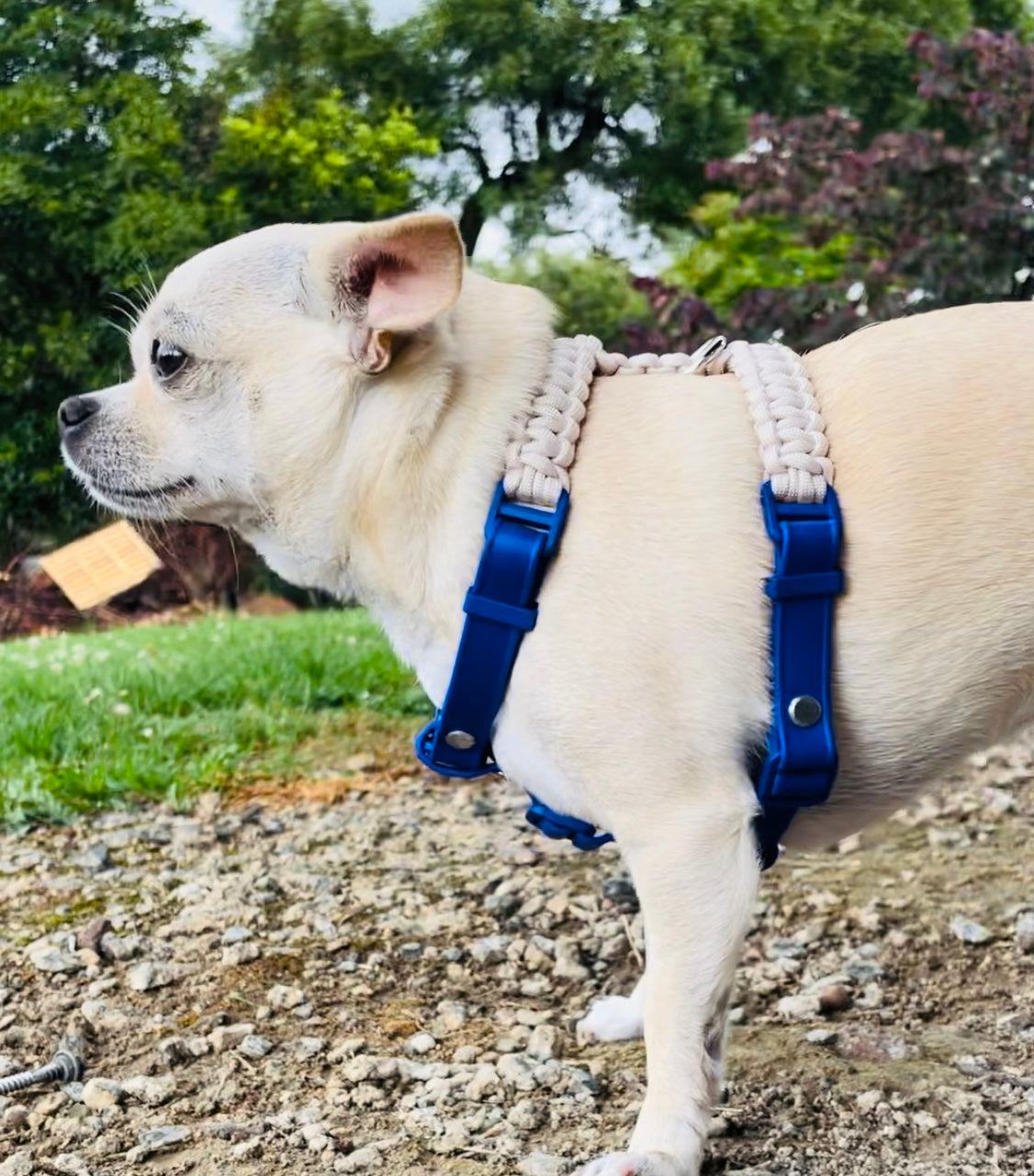 All Rounder Harness