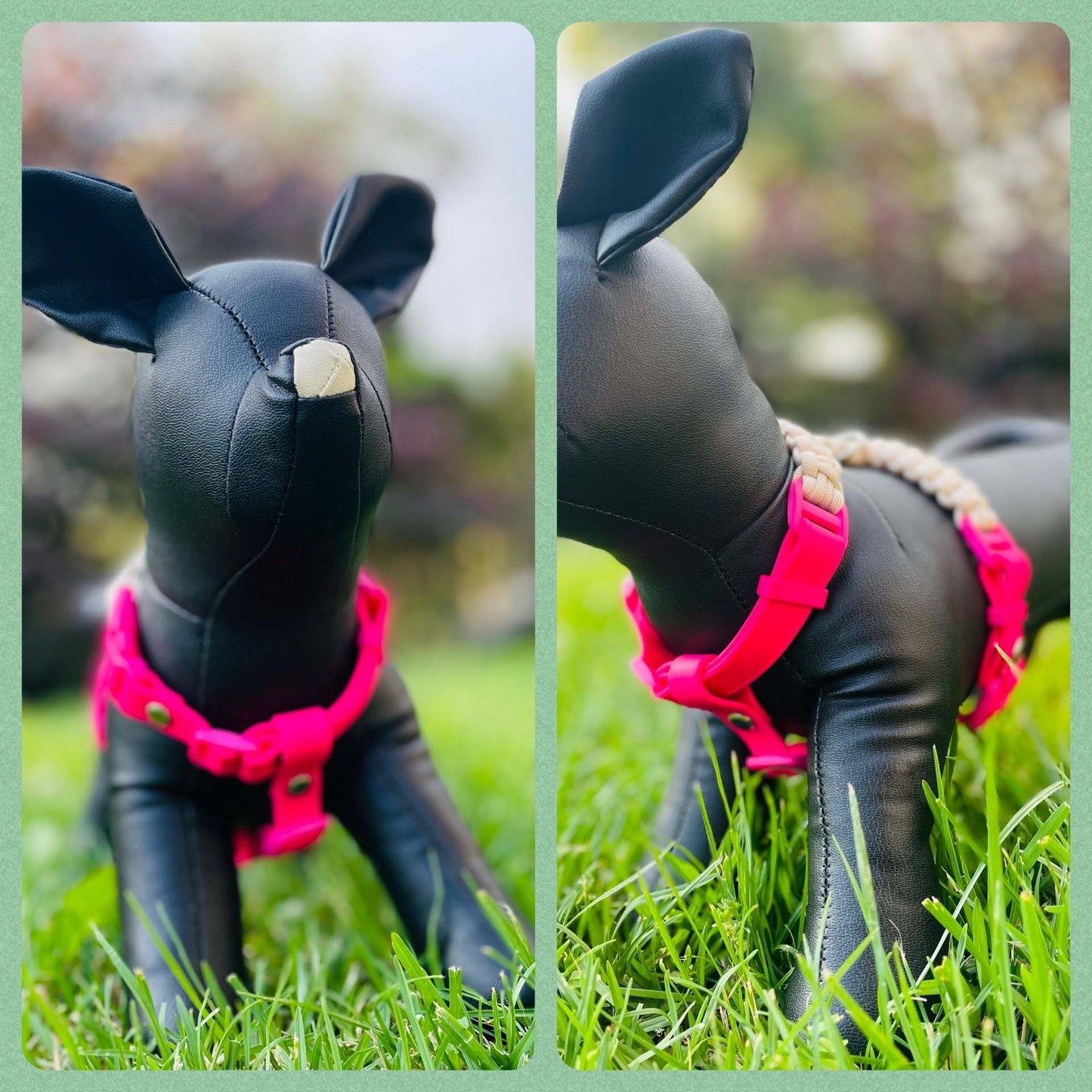 All Rounder Harness
