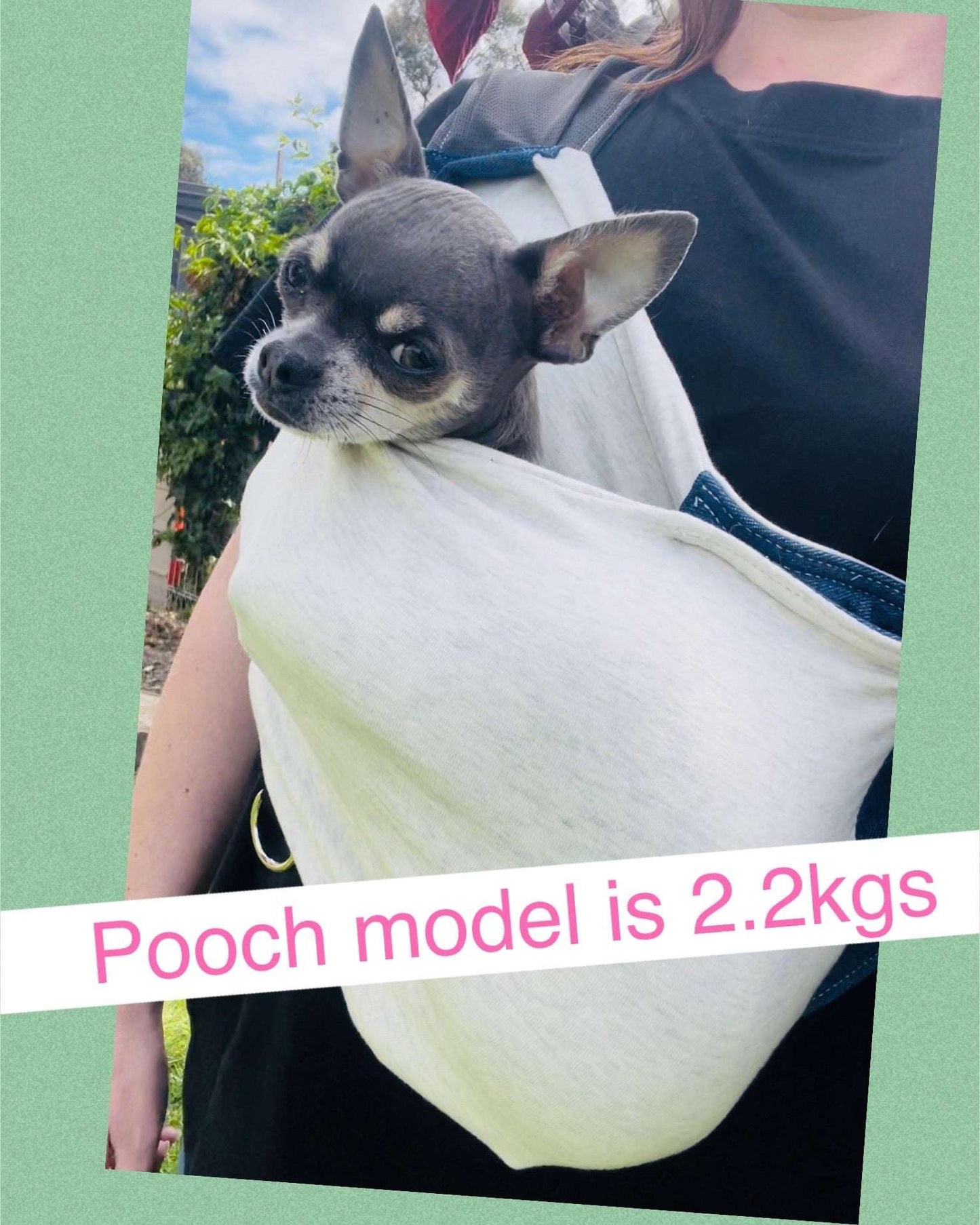 Chihuahua sling carrier Pet Sling Carrier Pocket Pooch- Ultimate Stylish Comfy Solution.