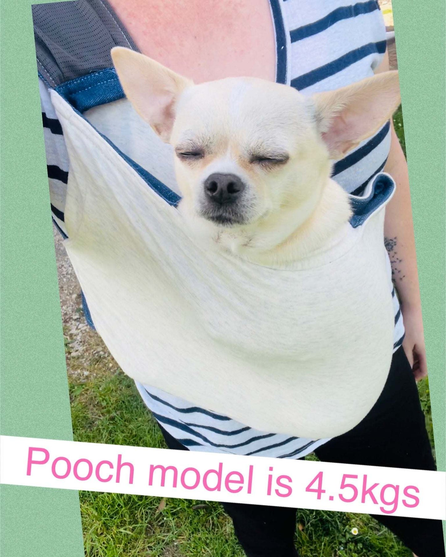 Chihuahua sling carrier Pet Sling Carrier Pocket Pooch- Ultimate Stylish Comfy Solution.