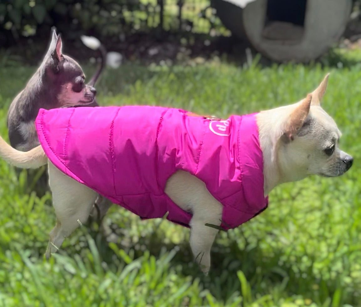 Personalised Dog coat