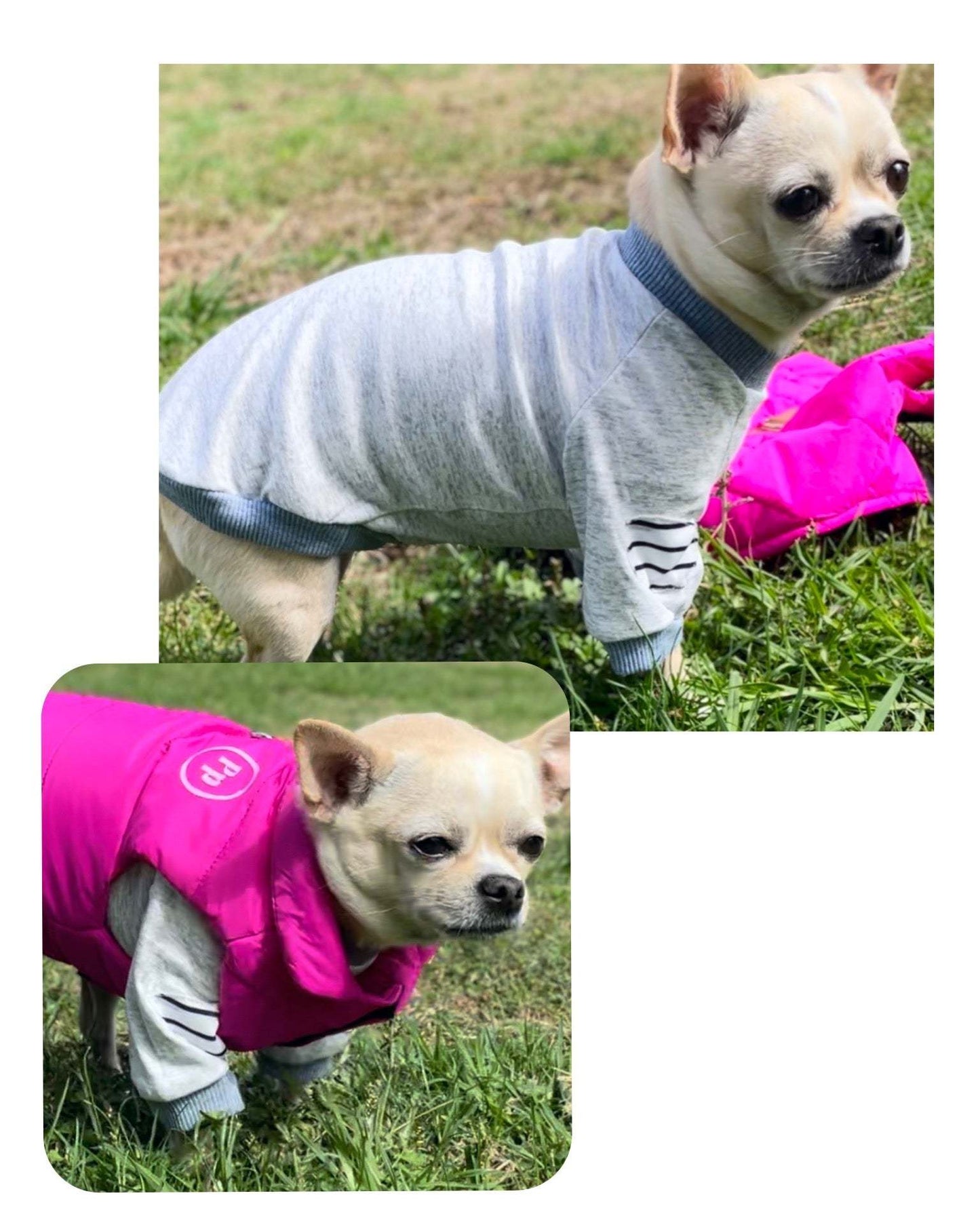 Chihuahua Fleece Essential XS
