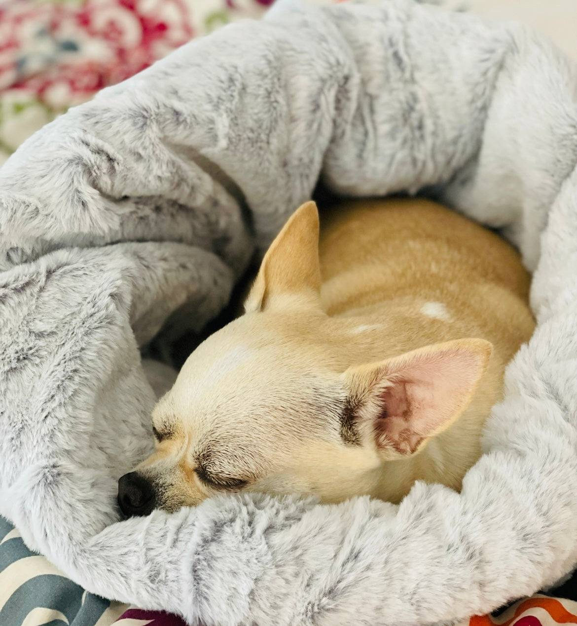 dog sleep sack