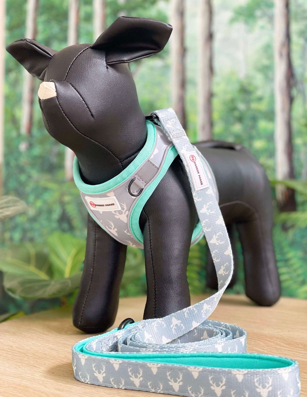 Designer small dog harness set