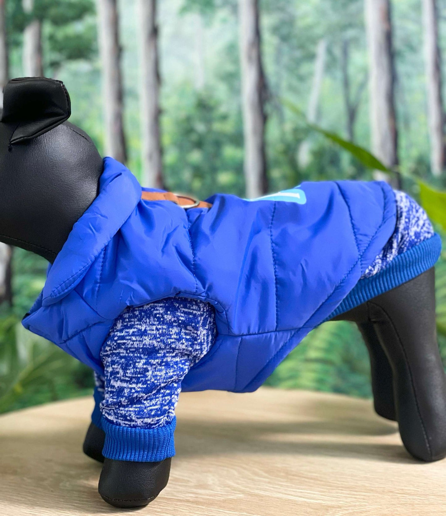 Personalised Dog coat