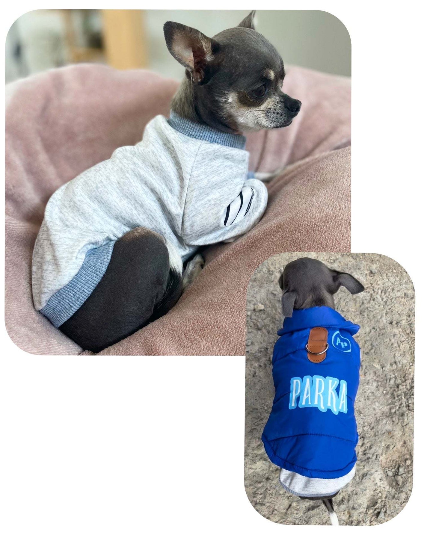 Chihuahua Fleece Essential XS