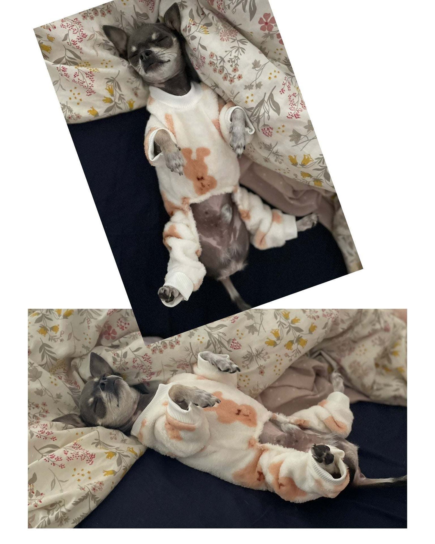 Adorable dog in soft fleece Puppy PJ’s, showing comfort and style.