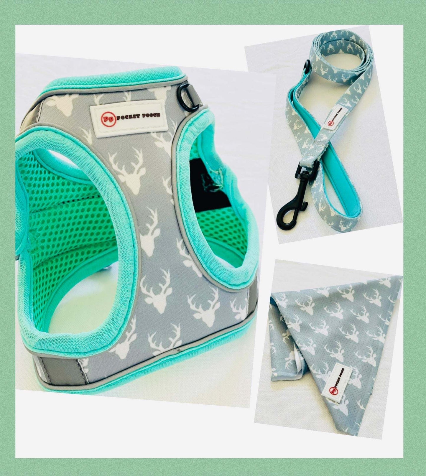 Designer small dog harness set