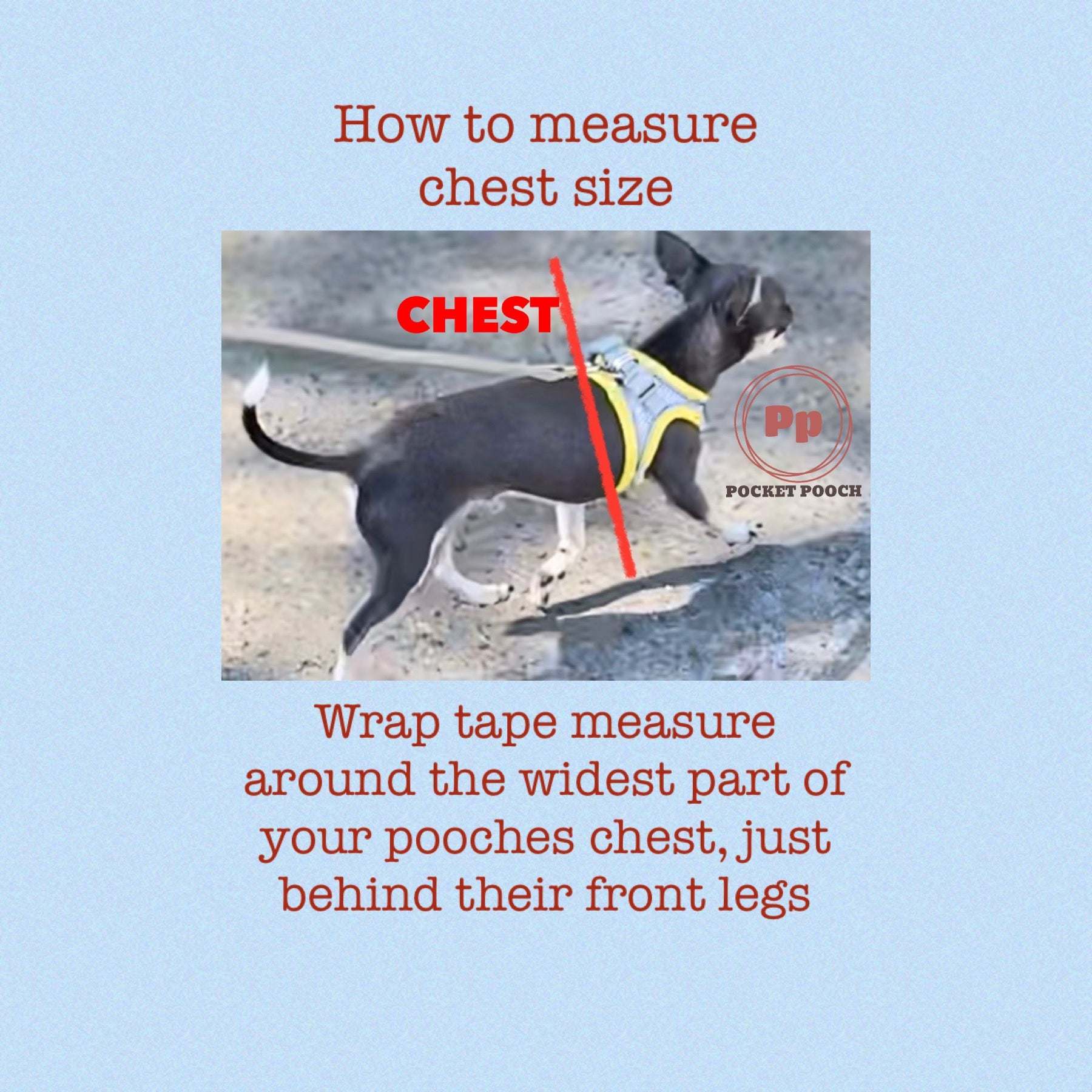 Small Dog Sweater