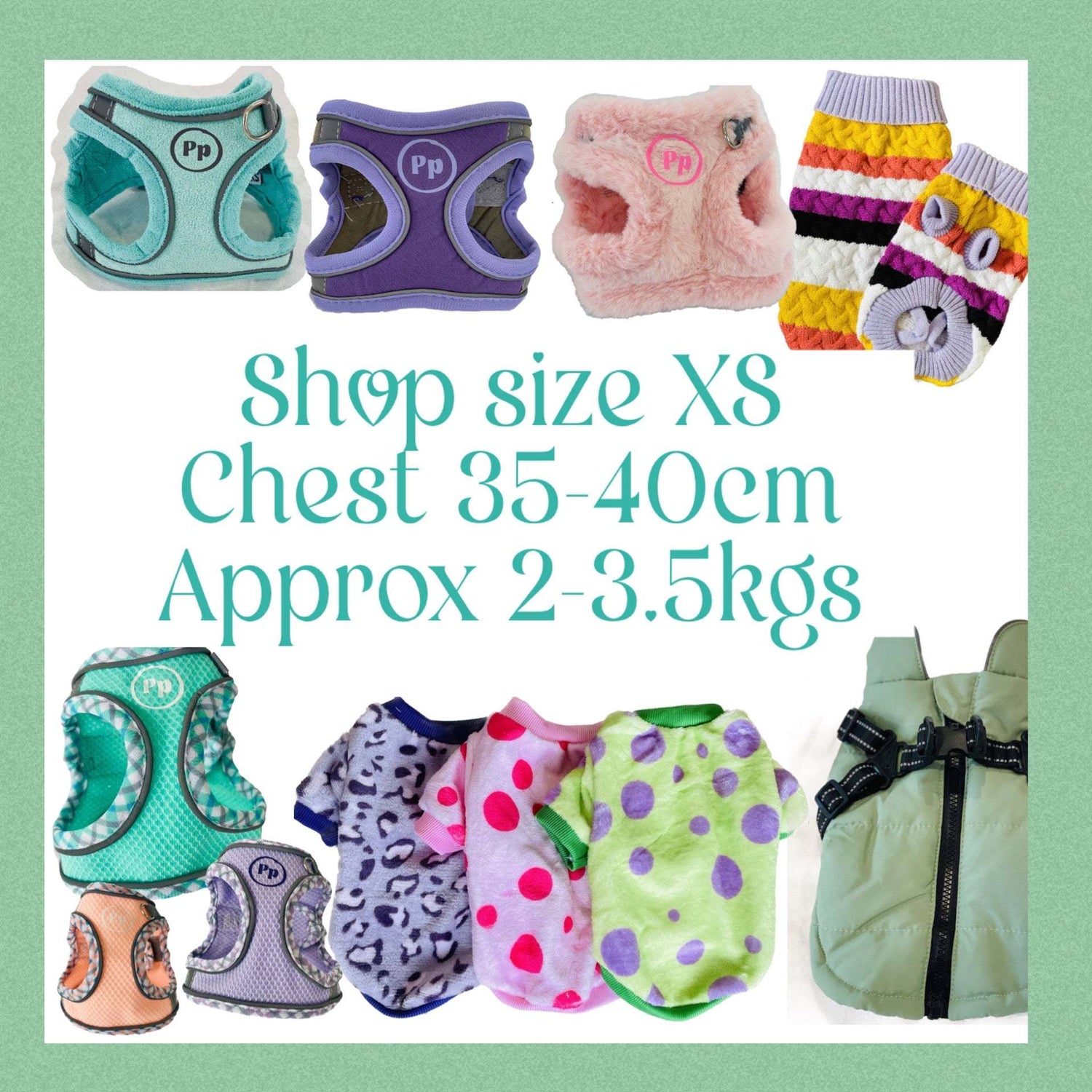 XS: Charming Chihuahua: chest 35-40cm, Approx 2-3.5kgs