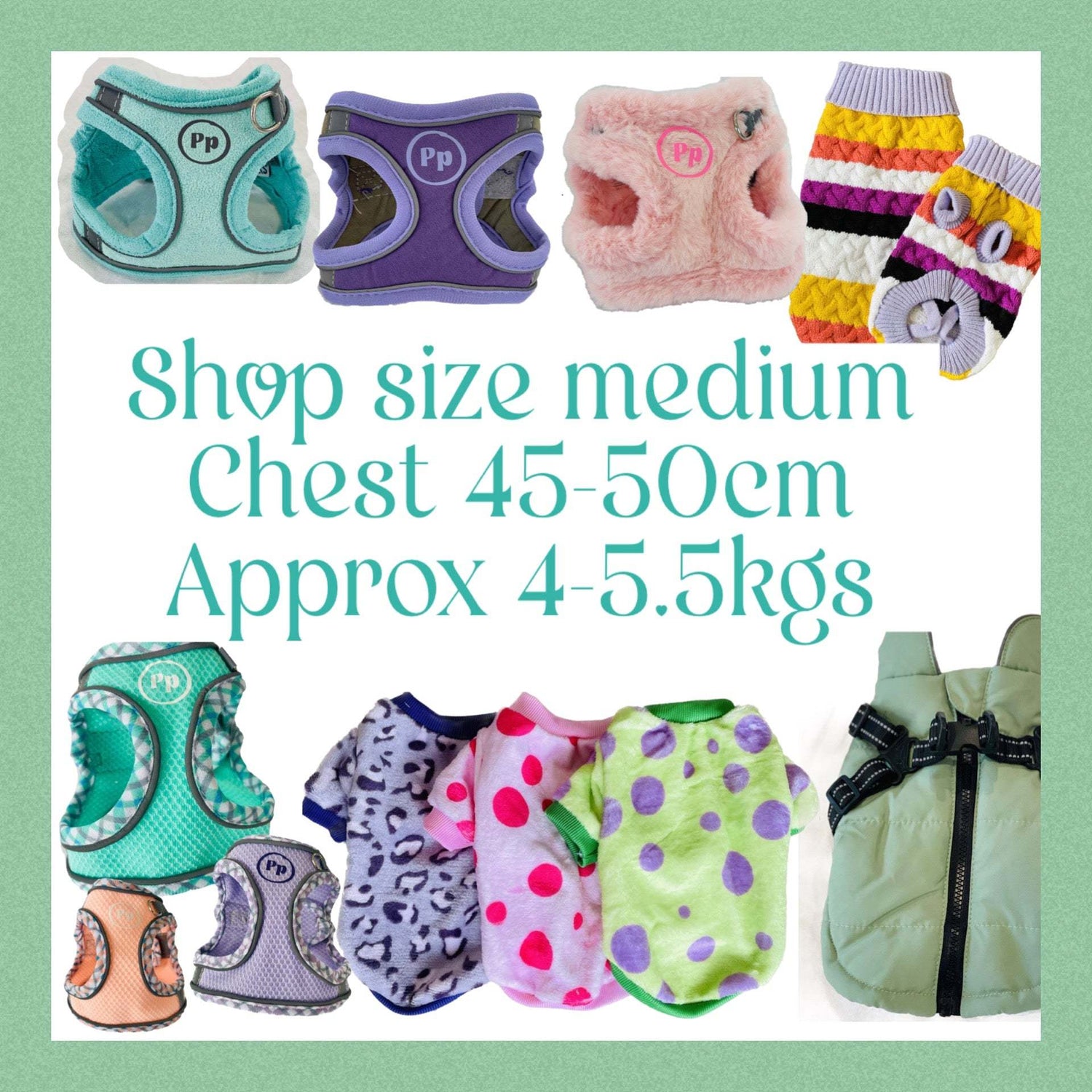 Medium: Majestic Chihuahua Must Haves: Chest 45-50cm, Approx 4-5.5kgs