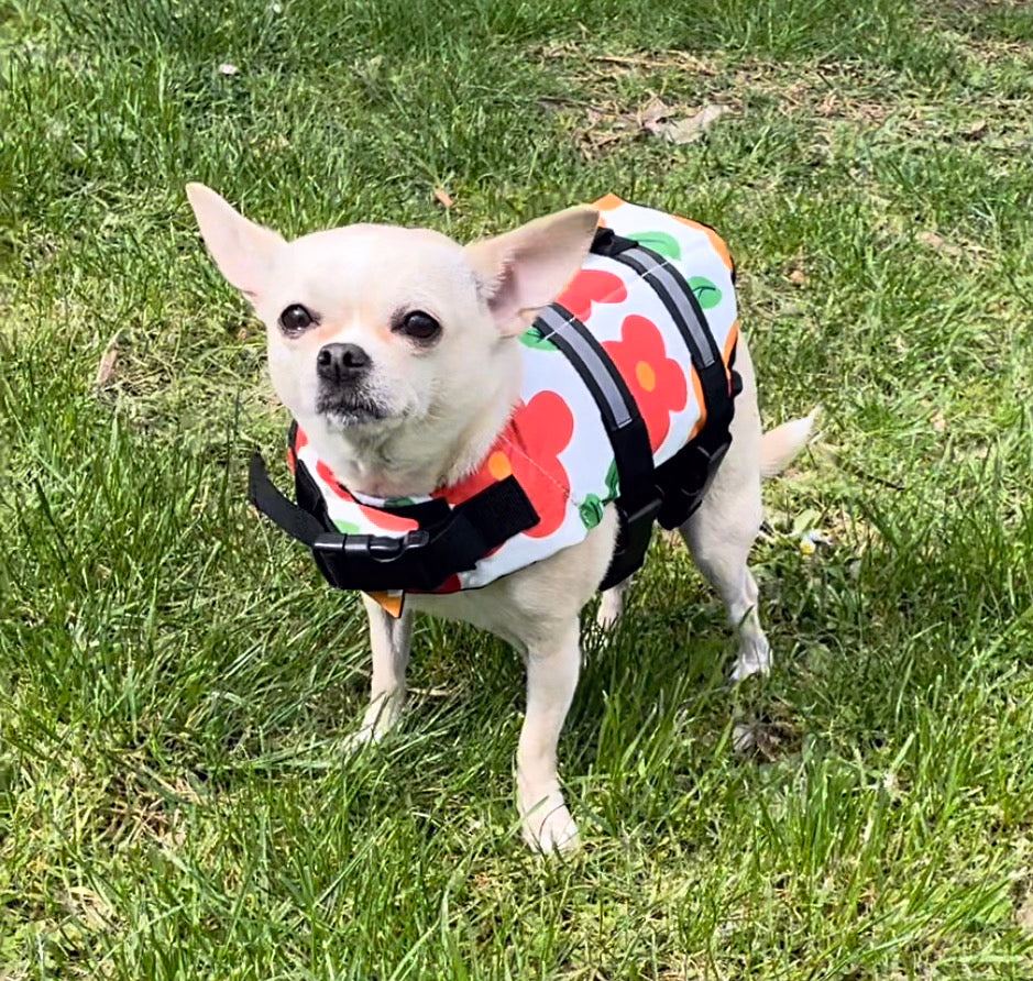 Chihuahua Life Jacket