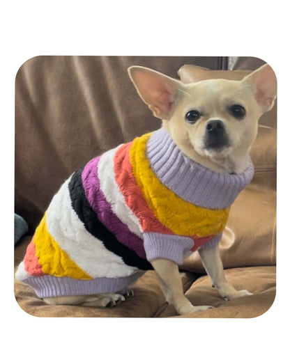 Multi-coloured Knit Dog Sweater