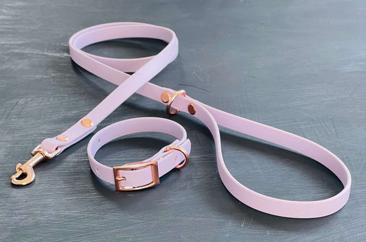 Pocket Pooch Pup Collar + Leash