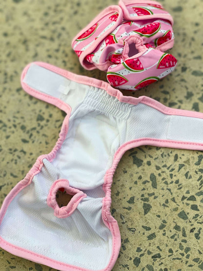 Chihuahua Diapers