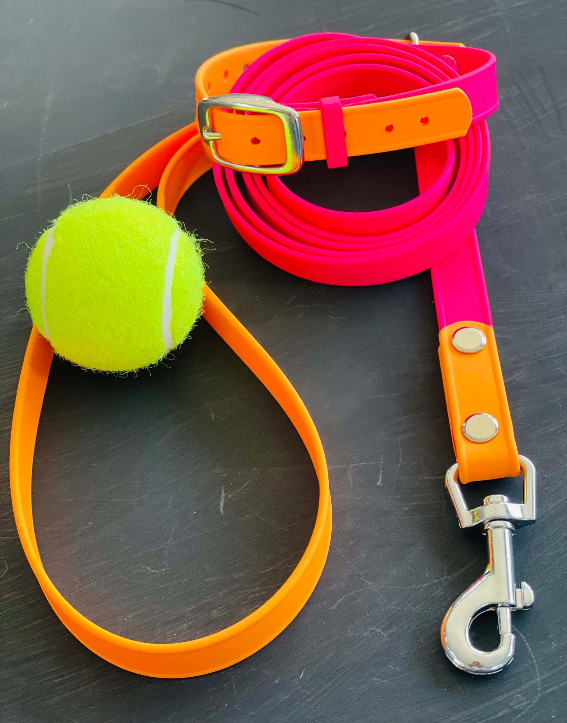 Water proof collar and leash