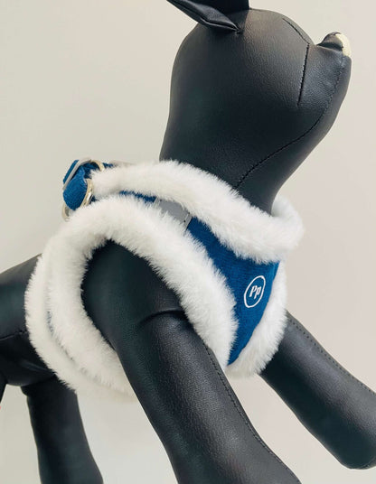 Harness for small dog