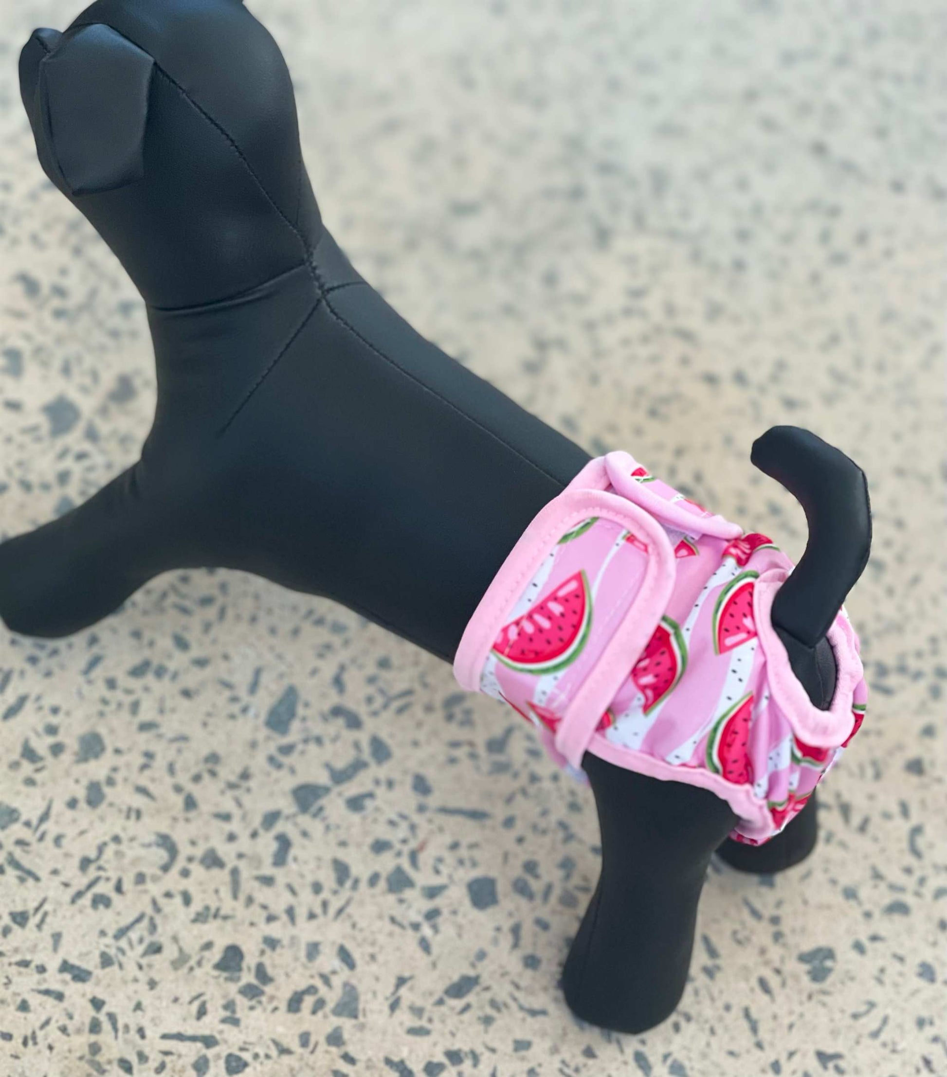 Chihuahua Diapers