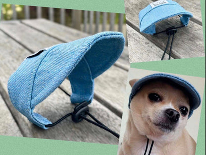 Chihuahua hat, UV protection for little dogs