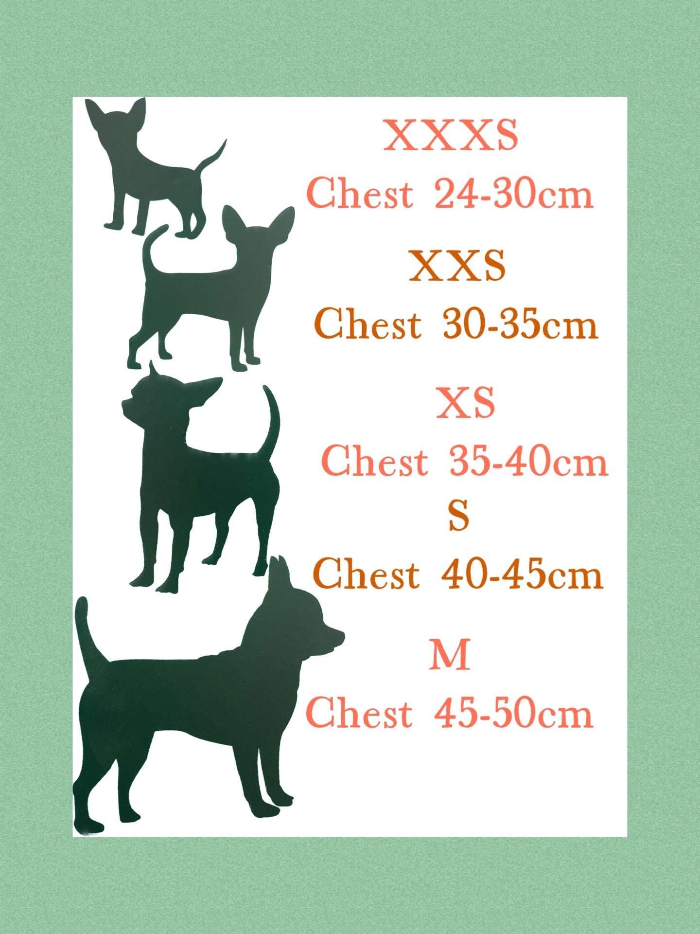 Chihuahua knit jumper XS