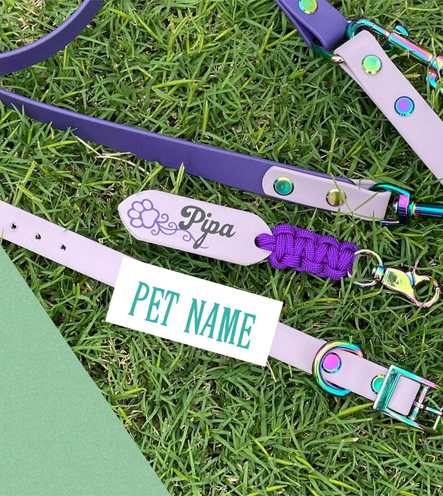 February Pooch Pack, Personalised Mid summer fun for you and your pooch