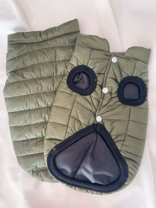 Green insulated small dog coat with button closures and black trim for winter warmth and comfort
