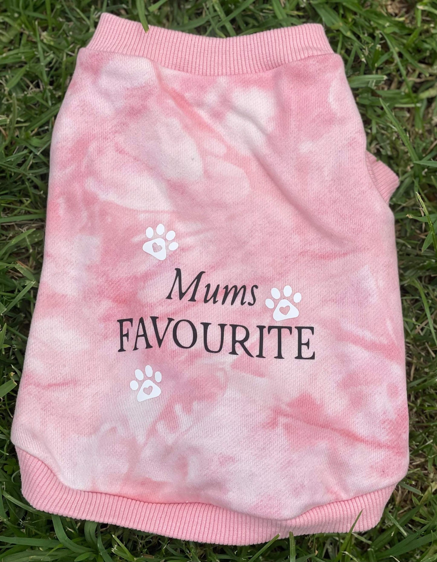 Pocket Pooch Designer dog jumper