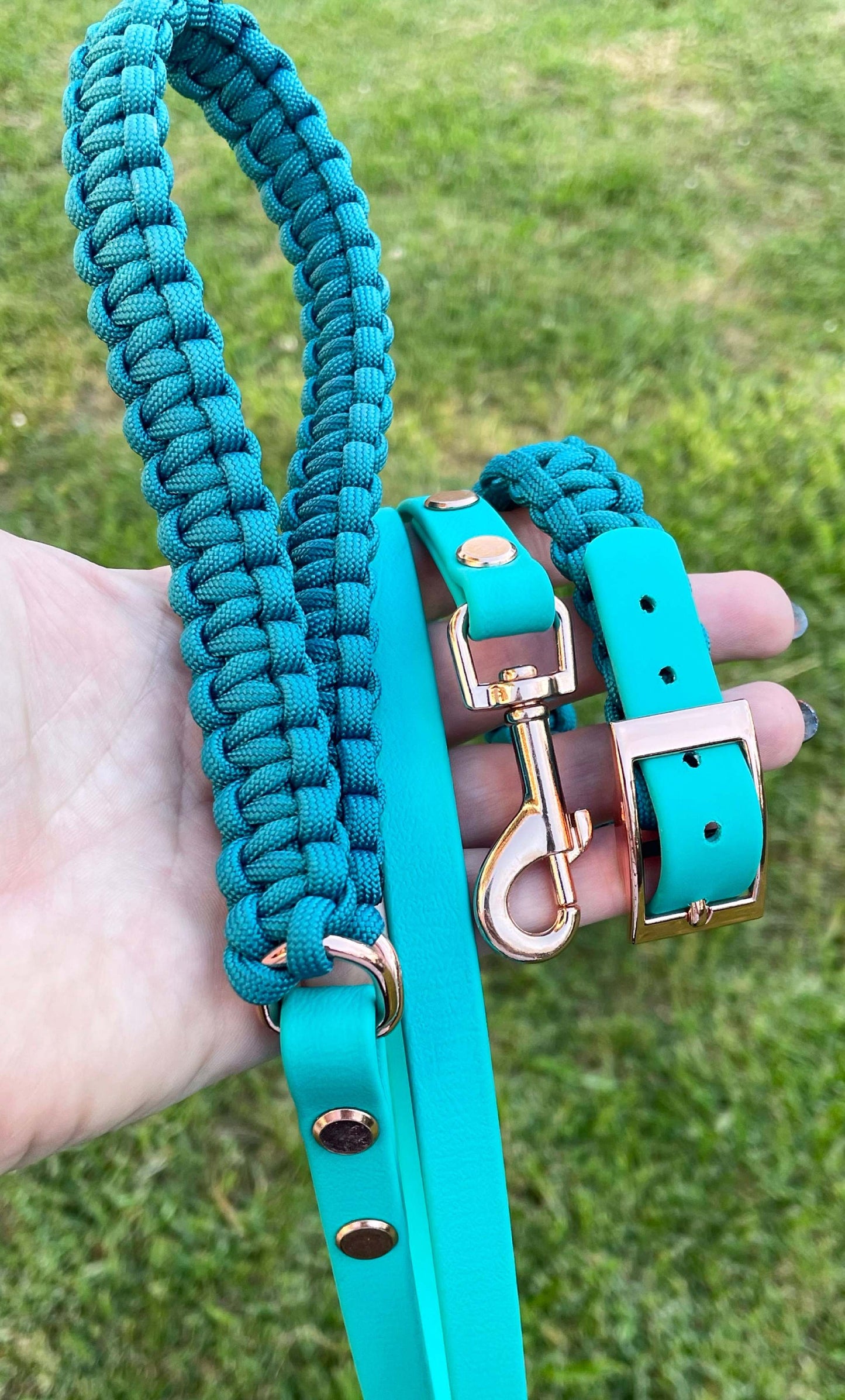 Small Dog Collar 