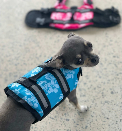 Chihuahua Life Jacket