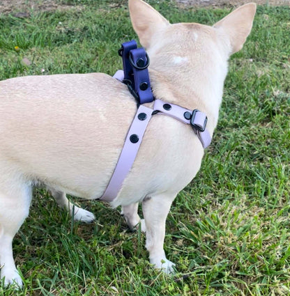 Chihuahua Adjustable step in harness Adjustable step in harness