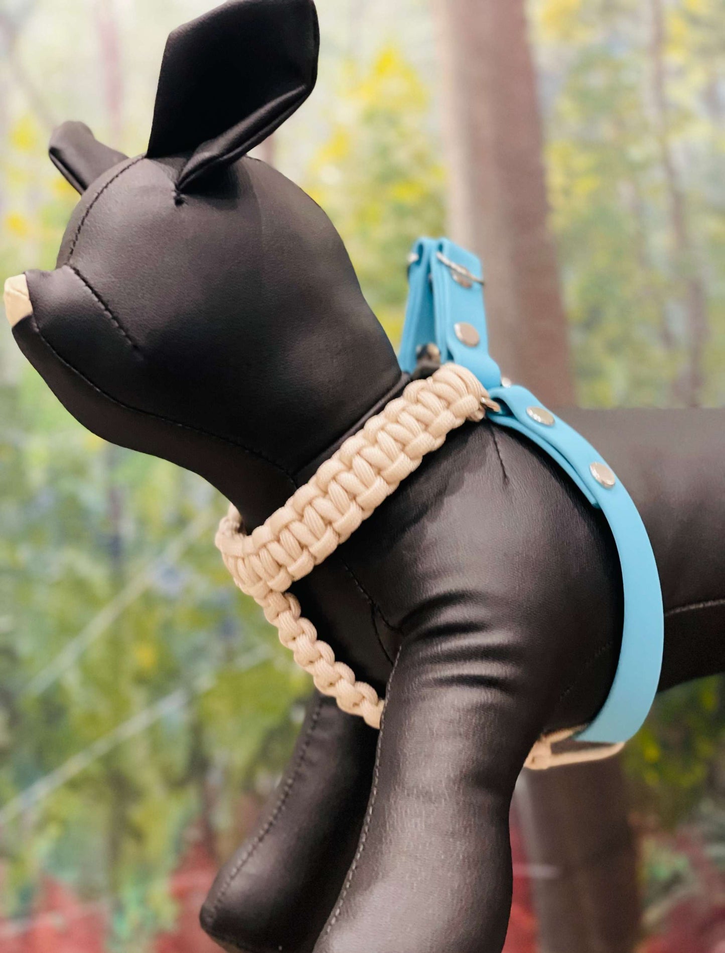 Custom Pocket Pooch Harness, Tailored Fit For Your Little Furry Fashionista