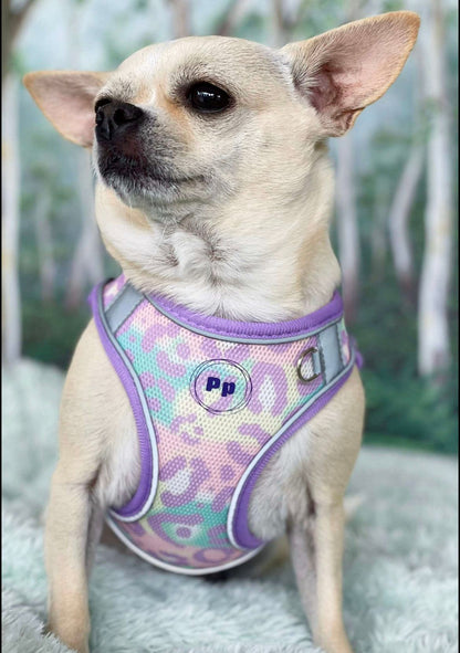 Step-In Dog Harness