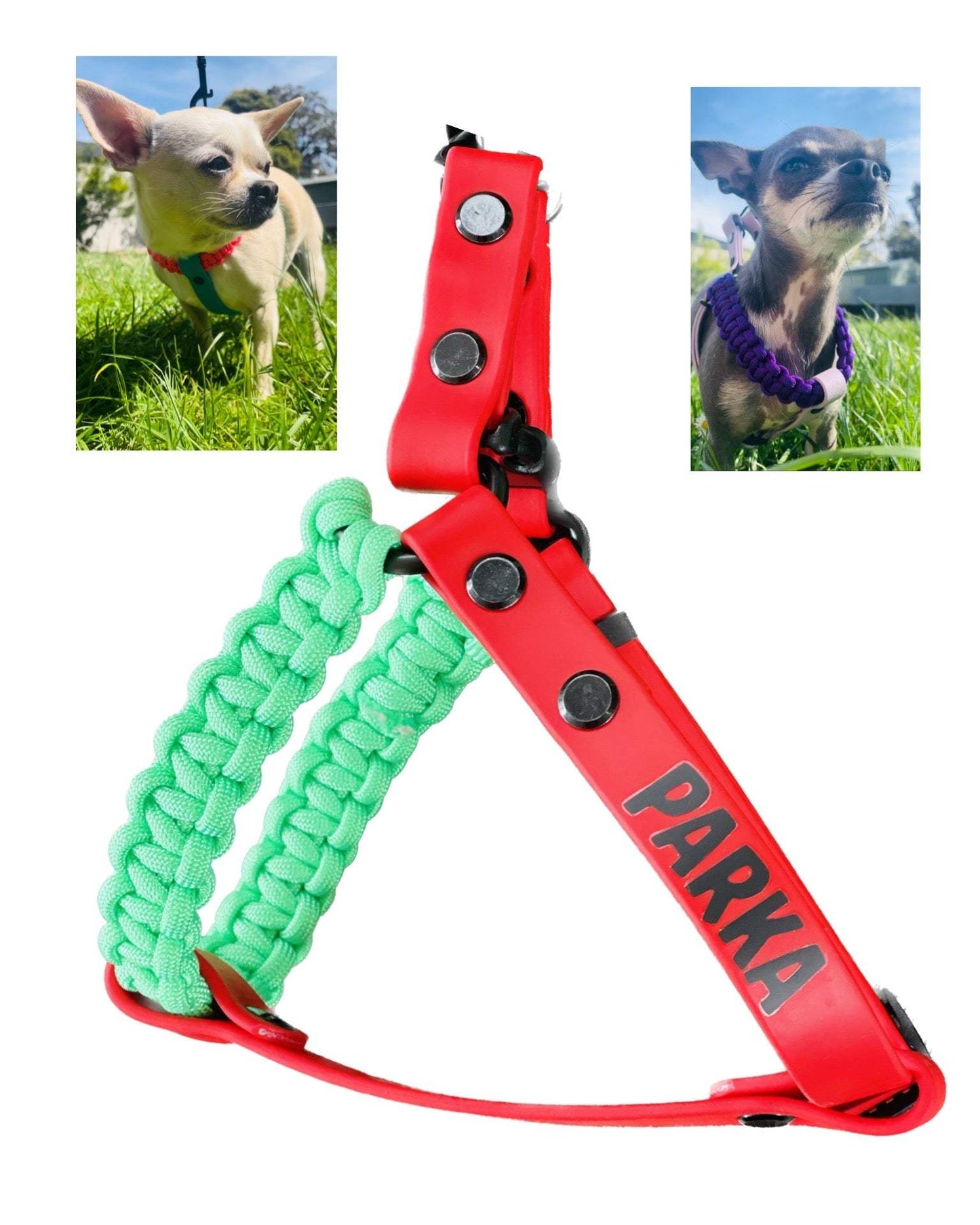 Custom Chihuahua Harness