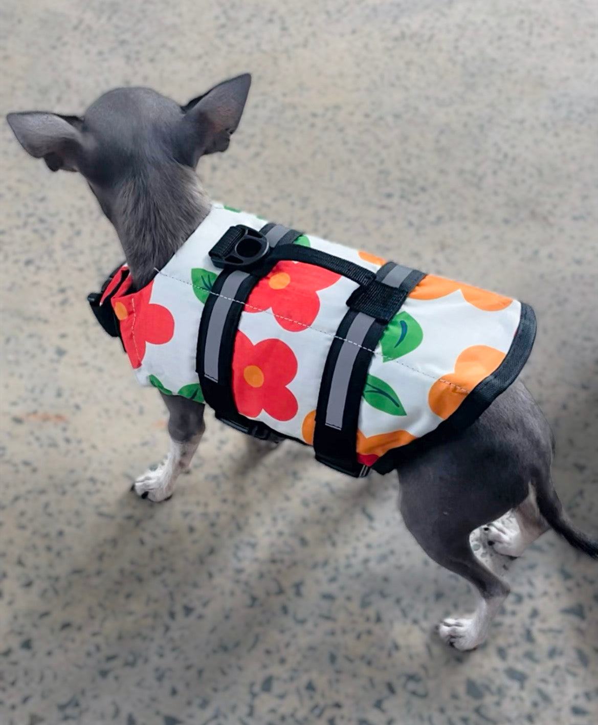 Chihuahua Life Jacket