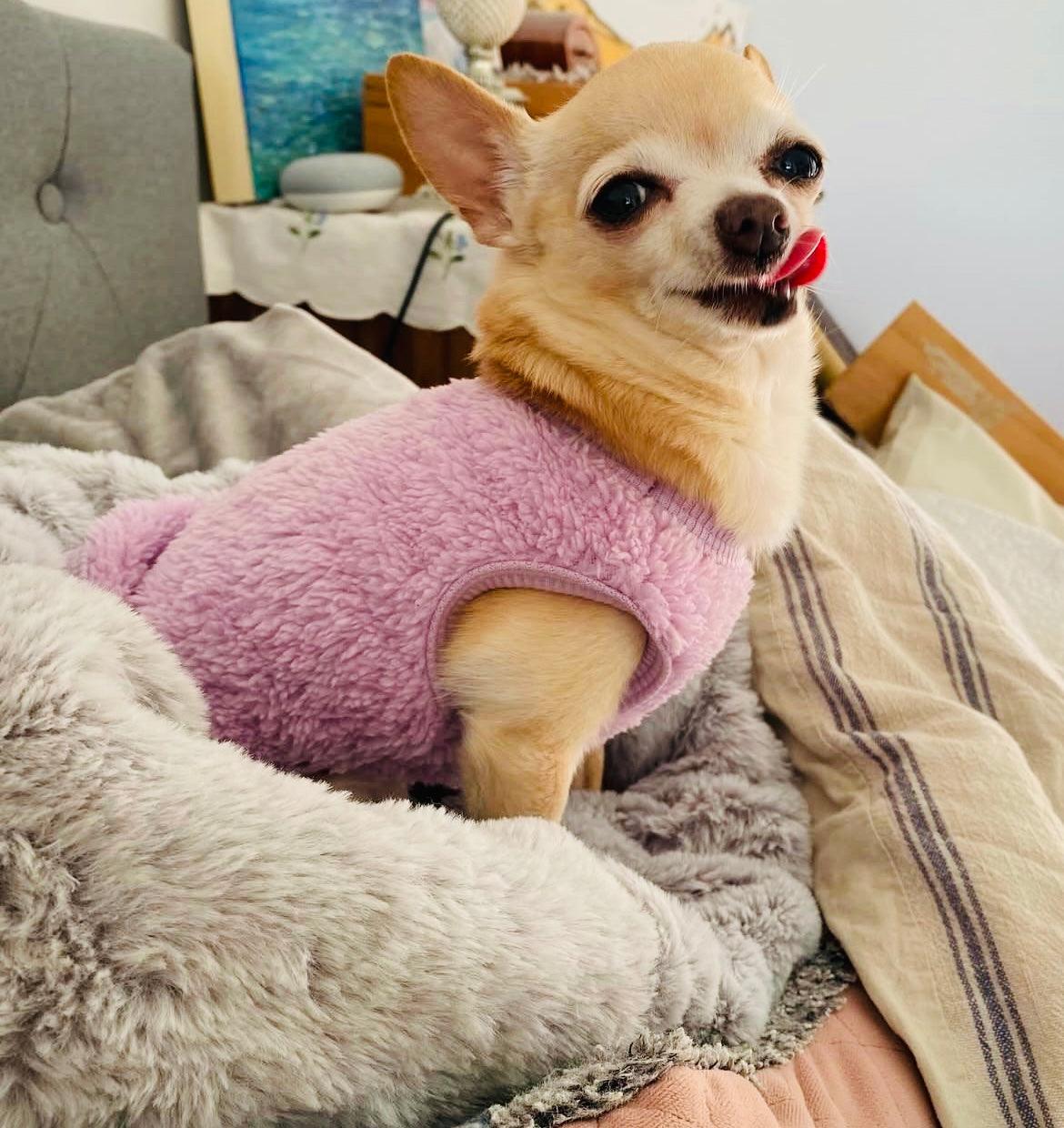 Small Dog fluffy vest