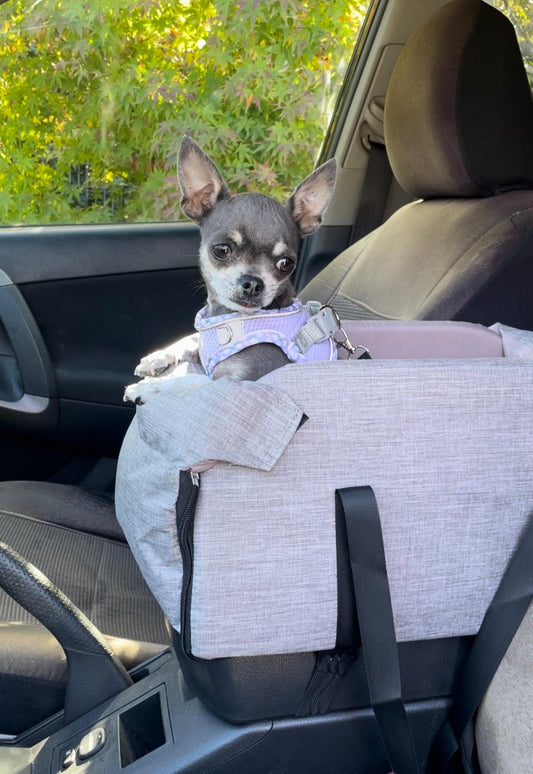 Pet Console Car Seat with safety latch and customization option for pets in car.